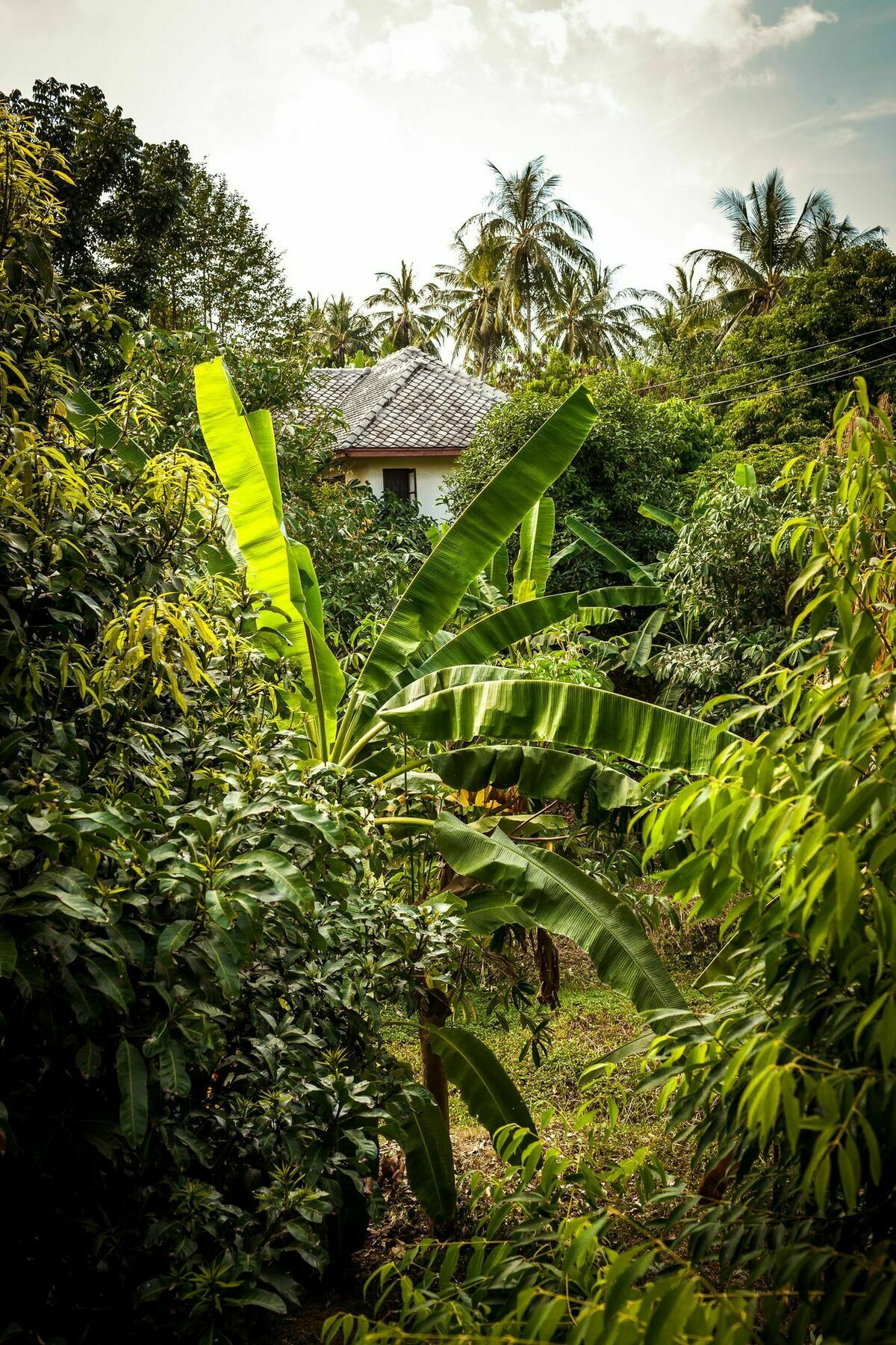 Cashew Nut Village Bophut Exterior foto